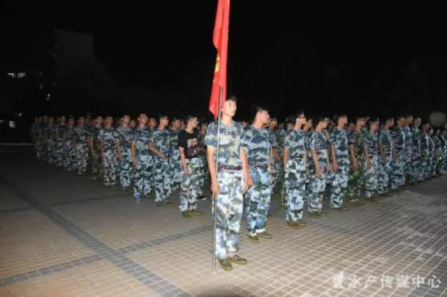 6.jpg 6.jpg
